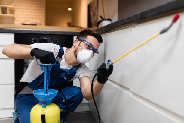Best Wasp Removal Services  in Lakehurst, NJ