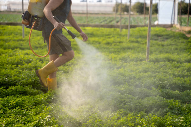 Best Affordable Pest Control Services  in Lakehurst, NJ