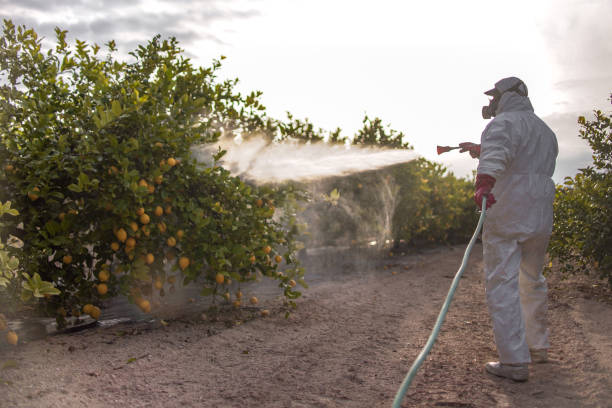 Insect Control in Lakehurst, NJ