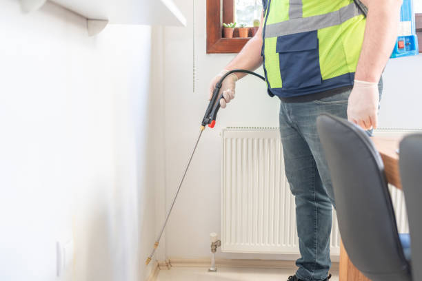 Best Ant Control Services  in Lakehurst, NJ