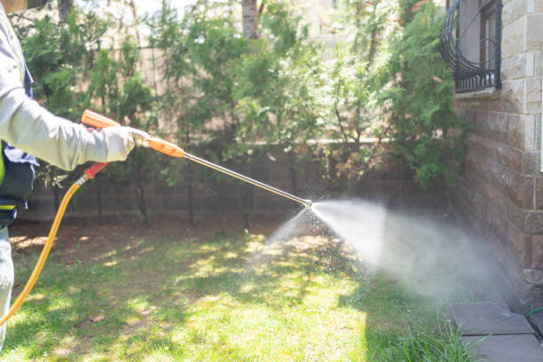 Best Termite Control Services  in Lakehurst, NJ