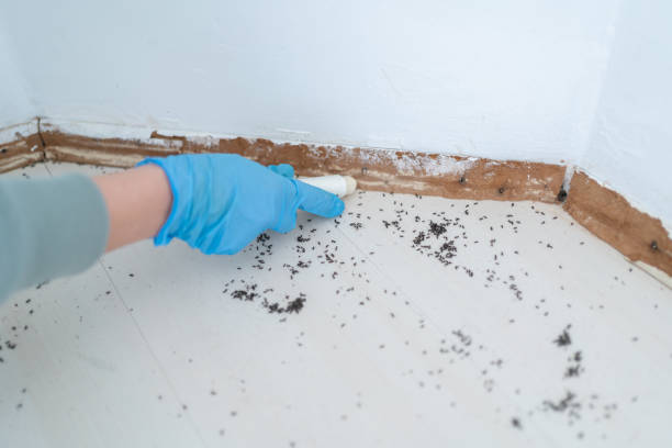 Trusted Lakehurst, NJ Pest Control Experts