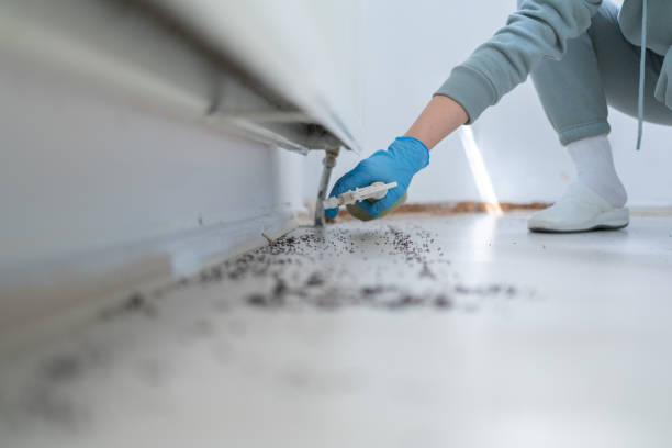 Best Mosquito Control Services  in Lakehurst, NJ