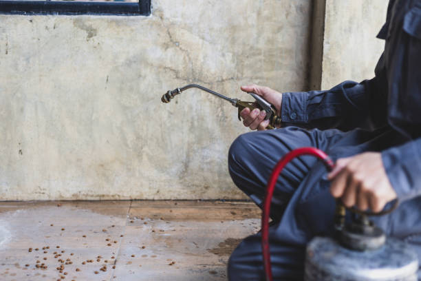 Best Affordable Pest Control Services  in Lakehurst, NJ