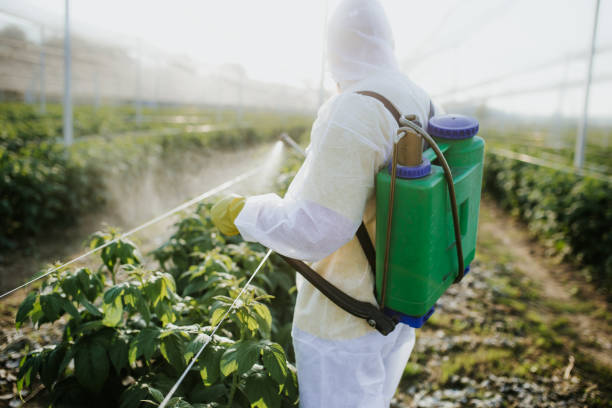 Best Residential Pest Control  in Lakehurst, NJ